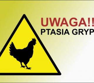 graf.: gov.pl