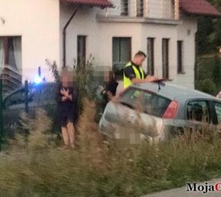 fot. mojaolesnica.pl
