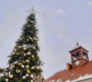 na fot.: ostrzeszowska choinka / UMiG Ostrzeszó