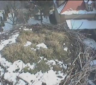 ww.bociany.ec.pl