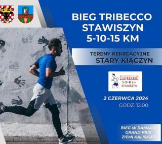 fot. UGiM Stawiszyn