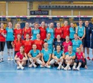 graf. NETLAND MKS Kalisz